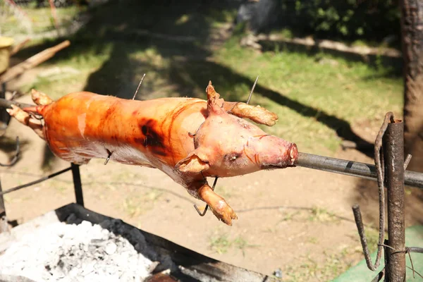 pig on a spit on the grill, roast pork in the process.
