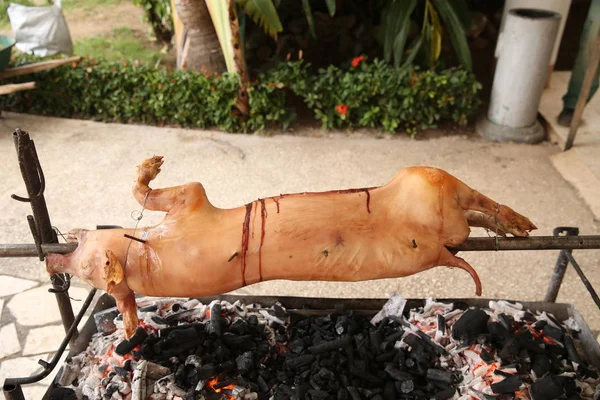 Cerdo Una Saliva Parrilla Cerdo Asado Proceso — Foto de Stock