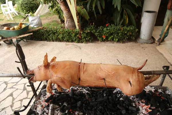 pig on a spit on the grill, roast pork in the process.