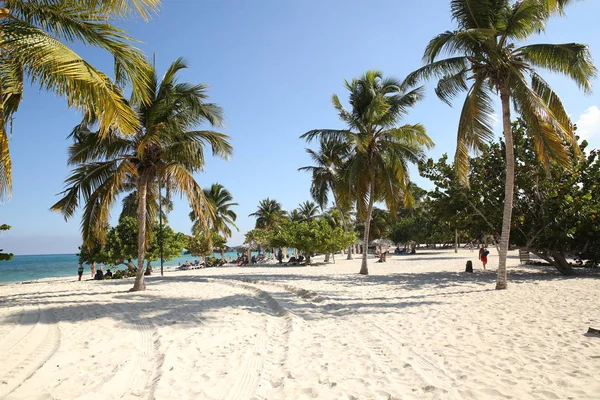 Tropischer Strand Mit Weißem Sand Palmen Unter Blauem Himmel Der — Stockfoto