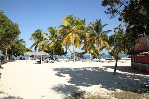 Plaża Tropikalne Biały Piasek Palmy Pod Błękitnym Niebem Karaibach — Zdjęcie stockowe