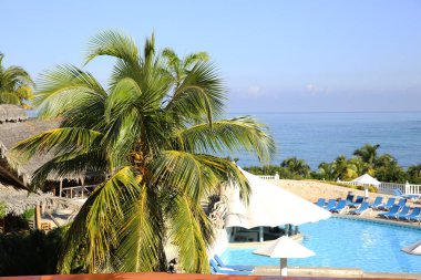 Palmiyeli tropik plaj