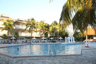 Otelin yüzme havuzu ile palm