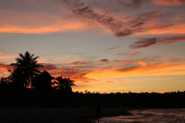 palmiye ağaçları ile tropikal bir plajda parlak günbatımı renkleri