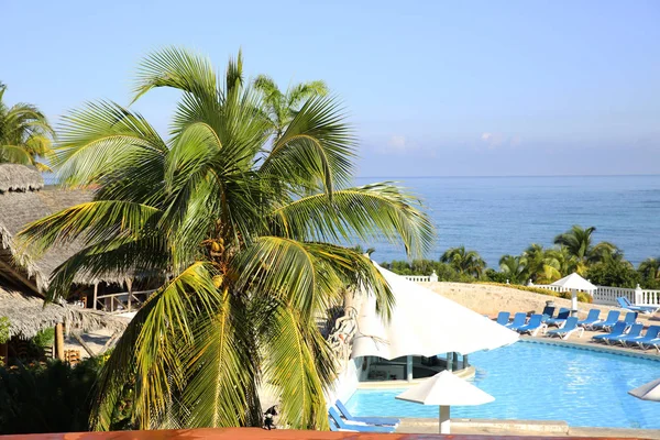 Playa Tropical Con Palmeras — Foto de Stock