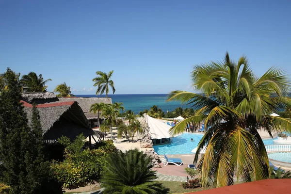 Playa Tropical Con Palmeras Alrededor Piscina Con Vistas Océano Azul — Foto de Stock