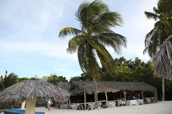 Café Tropischen Strand Mit Palmen Und Weißem Sand — Stockfoto