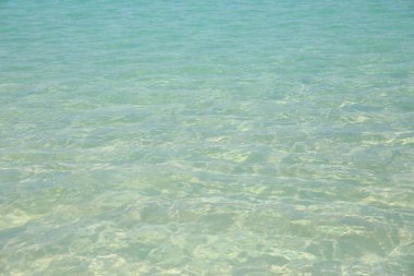 deniz suyu ile kopya alanı metin veya görüntü için