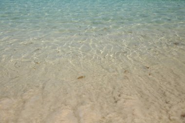 deniz suyu ile kopya alanı metin veya görüntü için