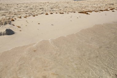 kumlu plaj ve su ile kopya alanı metin veya görüntü için.