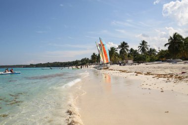 Tropik sahilde beyaz kum ve palmiye ağaçları Karayipler mavi gökyüzü altında mavi deniz Yelkenli tekneler ve insanlar