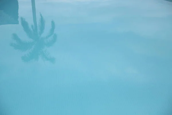 Palm Boom Reflectie Blauw Zwembad Water Abstracte Achtergrond — Stockfoto