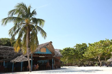  metin için yer ile tropikal plaj kulübe restoran ve palmiye ağacı