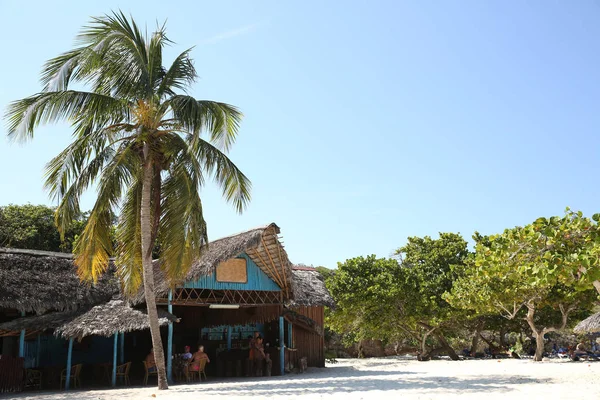 Хижина Ресторан Пальма Тропическом Пляже Местом Текста — стоковое фото