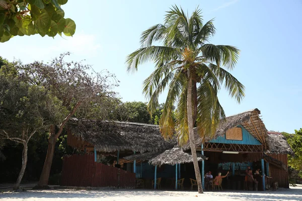 Cabaña Restaurante Palmera Playa Tropical Con Espacio Para Texto — Foto de Stock