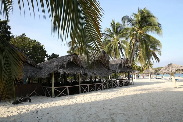 Hut Coconut Palm Tree Tropical Beach — Stock Photo, Image