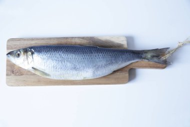  Metin için kopya alanı ile beyaz bir arka planda bir kesme ahşap tahta üzerinde taze ringa balığı