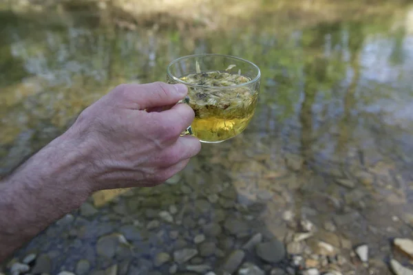 Händerna Håller Kopp Örtte Mot Bakgrund Floden Och Skogen Mjuk — Stockfoto