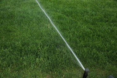 Bahçe Çim otomatik fıskiye eylem su parkta çim