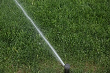 Fıskiyeler yeşil çimenlere su püskürtüyor.