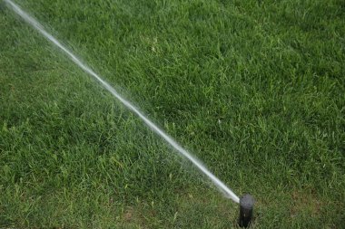 Bahçe Çim otomatik fıskiye eylem su parkta çim