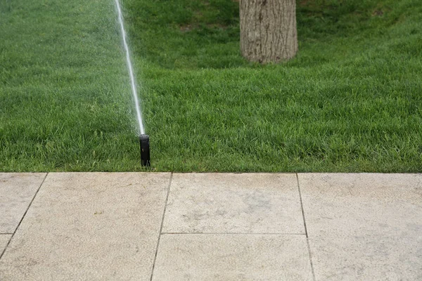 Jardín Césped Aspersor Automático Acción Agua Hierba Parque — Foto de Stock