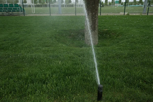 Jardín Césped Aspersor Automático Acción Agua Hierba Parque — Foto de Stock