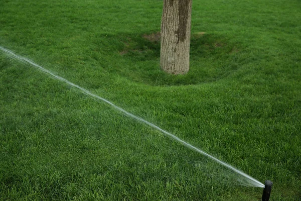 Jardín Césped Aspersor Automático Acción Agua Hierba Parque — Foto de Stock