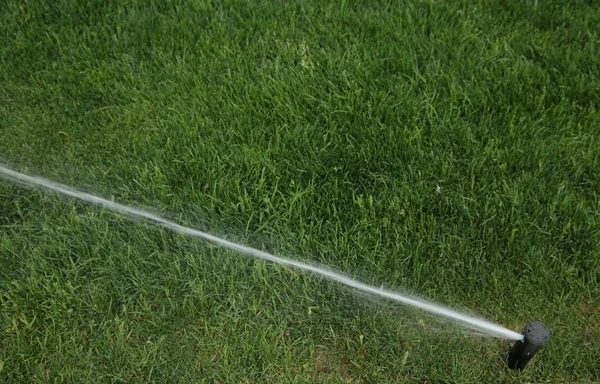 Sprinkler Spraying Water Green Grass — Stock Photo, Image