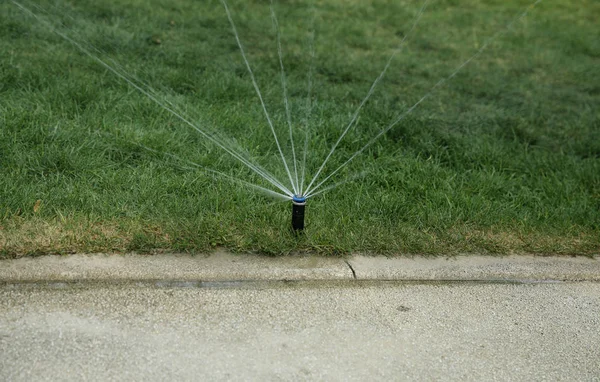 Jardín Césped Aspersor Automático Acción Agua Hierba Parque — Foto de Stock