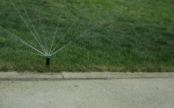 Jardín Césped Aspersor Automático Acción Agua Hierba Parque — Foto de Stock