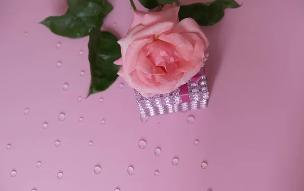 Rosa Rose Mit Geschenkbox Und Wassertropfen Auf Rosa Hintergrund Platz — Stockfoto