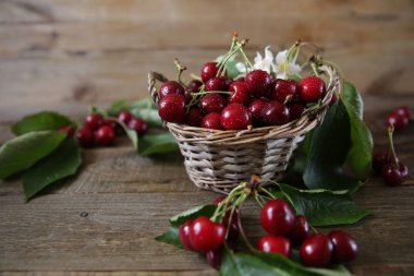 ahşap rustik arka plan üzerinde yaprakları ve beyaz çiçekleri ile hasır sepettaze organik kiraz. Sağlıklı gıda kavramı. Yakından kapatın. Kopyalama alanı ile