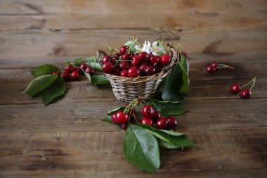 ahşap rustik arka plan üzerinde yaprakları ve beyaz çiçekleri ile hasır sepettaze organik kiraz. Sağlıklı gıda kavramı. Yakından kapatın. Kopyalama alanı ile