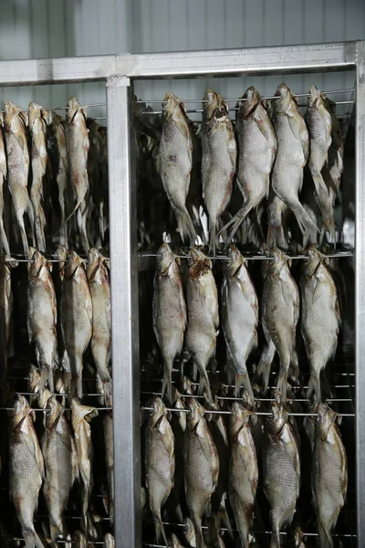 Proceso Secado Pescado Salado Sistema Para Secado Peces Snacks Producción — Foto de Stock