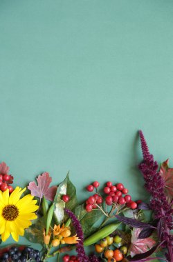 Sonbahar kompozisyonu. Akçaağaç yaprakları, çiçekler ve rowan, yeşil arka plan üzerinde çilek. Sonbahar, sonbahar, cadılar bayramı, şükran günü konsepti. Düz döşeme, üst görünüm, kopyalama alanı. Natürmort. Desen. Kartpostal.