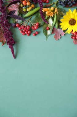 Sonbahar kompozisyonu. Akçaağaç yaprakları, çiçekler ve rowan, yeşil arka plan üzerinde çilek. Sonbahar, sonbahar, cadılar bayramı, şükran günü konsepti. Düz döşeme, üst görünüm, kopyalama alanı. Natürmort. Desen. Kartpostal.