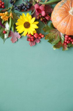 Sonbahar kompozisyonu. Kurutulmuş yaprakları, kabak, çiçek ve rowan, yeşil arka plan üzerinde çilek. Sonbahar, sonbahar, cadılar bayramı, şükran günü konsepti. Düz döşeme, üst görünüm, kopyalama alanı. Natürmort.