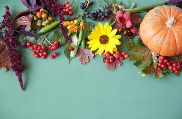 秋の作曲 乾燥した葉 カボチャ 花やローワン 緑の背景にベリー ハロウィーン 感謝祭のコンセプト フラットレイ トップビュー コピースペース — ストック写真