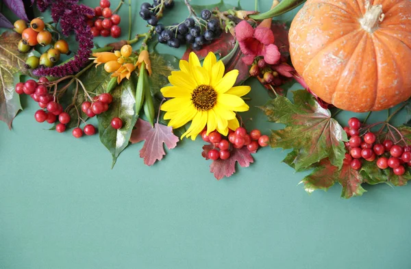 秋の作曲 乾燥した葉 カボチャ 花やローワン 緑の背景にベリー ハロウィーン 感謝祭のコンセプト フラットレイ トップビュー コピースペース — ストック写真