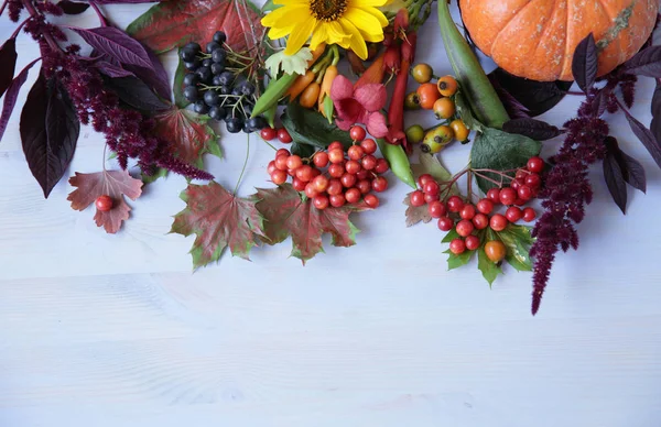 秋の作曲 静物だ青い背景に乾燥した葉 カボチャ リンゴ 花やローワンベリー ハロウィーン 感謝祭のコンセプト フラットレイ トップビュー テキスト用コピースペース — ストック写真