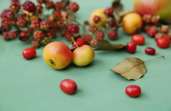 Autumn Still Life Wild Apples Dried Leaves Berries Dogwood Blackberries — Stock Photo, Image