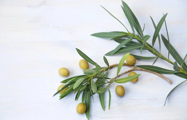 Flat Lay Olive Branch Leaves Green Olives Blue Background Healthy — Stock Photo, Image