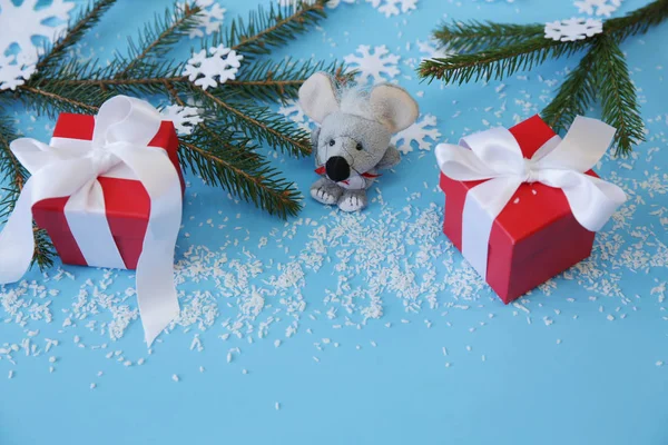 Рождественский Фон Еловыми Ветками Крысой Снежинками Красной Подарочной Коробкой Белой — стоковое фото