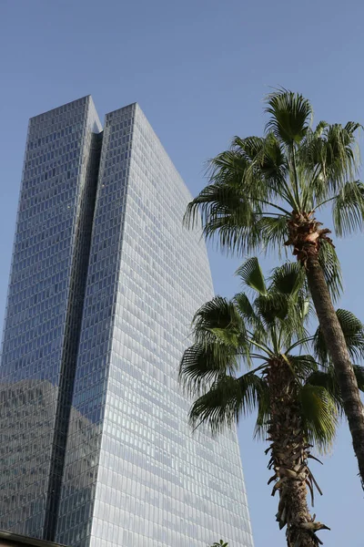 Tel Aviv Şehir Merkezindeki Palmiye Ağaçları Şehir Merkezinde Bir Gökdelenin — Stok fotoğraf