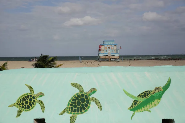 picture of turtles on a concrete wall on a sandy beach with a lifeguard hut