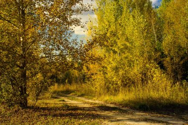 Sonbahar, sarı-turuncu sonbahar manzara başlayan