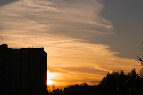 cirrus bulutlar ve binalar ve ağaçlar siluetleri ile gün batımında güzel sarı gök