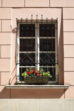 Avrupa bir evde bir saksı penceresiyle