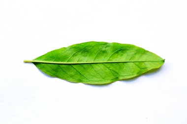 Nar beyaz izole arka plan üzerinde bırakır